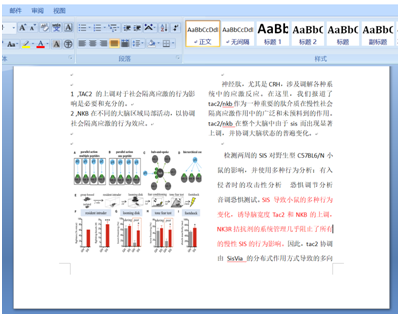 澳门正版资料大全免费歇后语_效率资料灵活解析_至尊版209.183.69.124